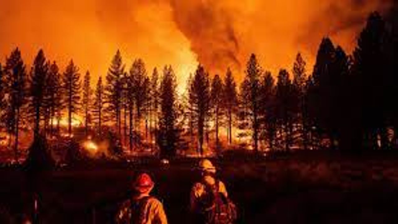 Küresel ısınma nedeniyle orman yangınları daha erken başlıyor ve daha uzun sürüyor