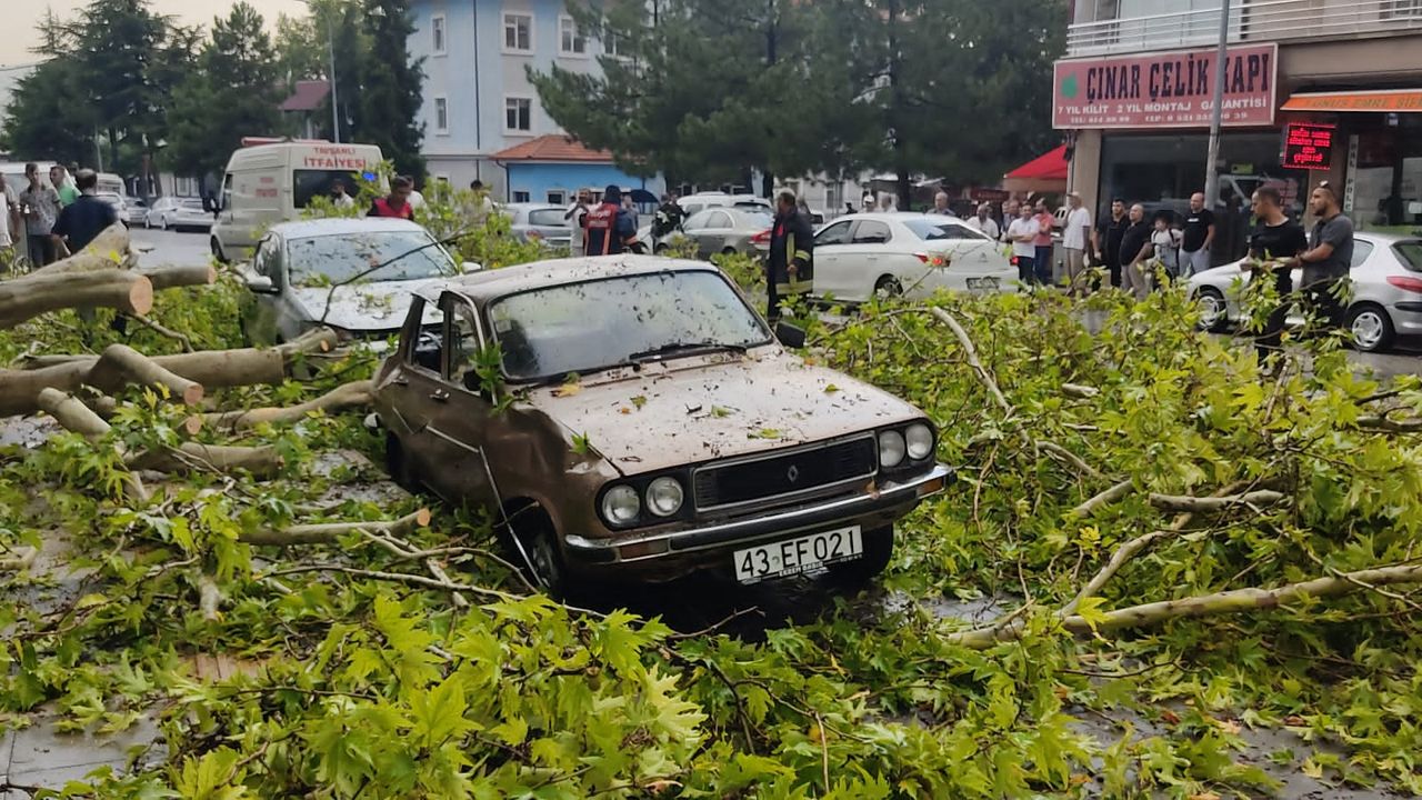 Fırtına nedeniyle kırılan ağaç dalları park halindeki araçlara zarar verdi