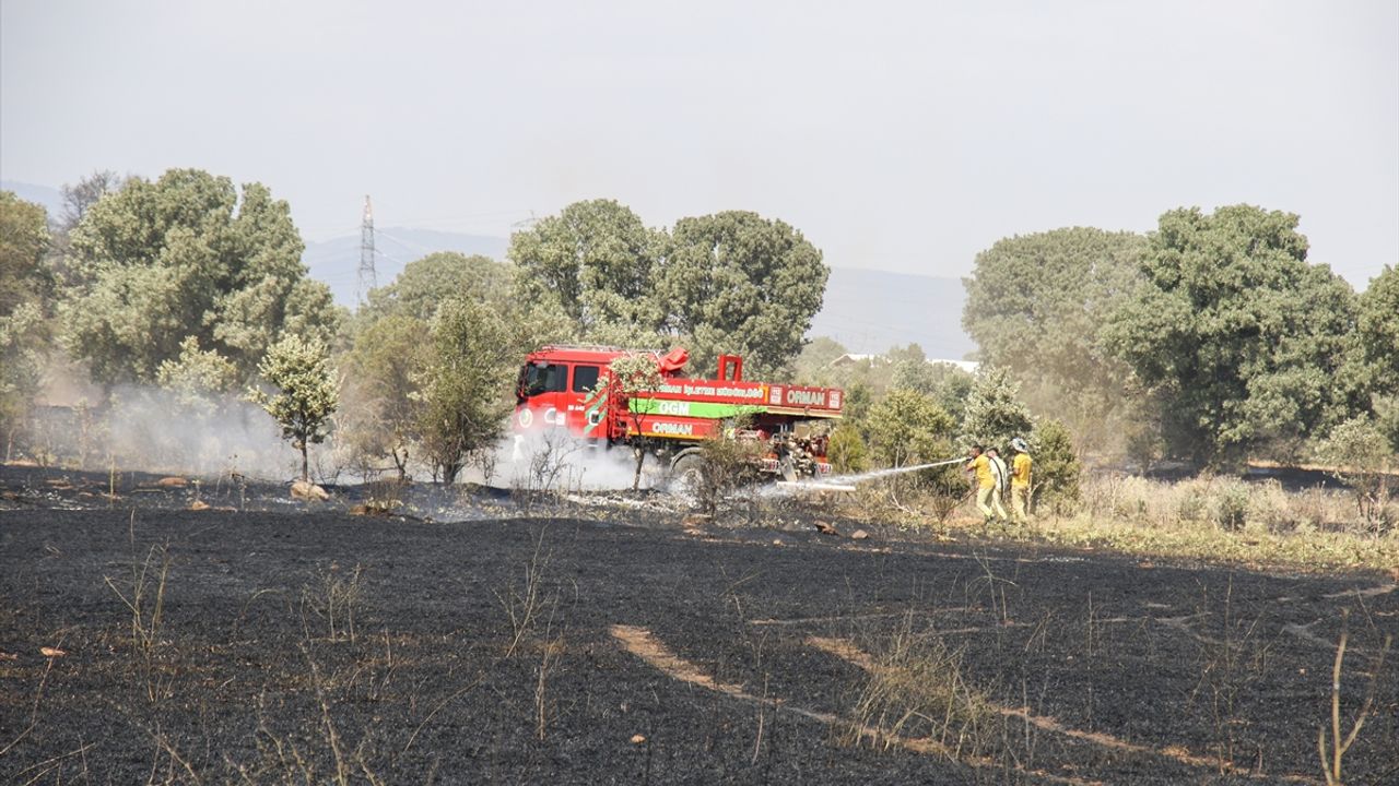 Uşak'ta buğday ekili tarım arazisinde yangın çıktı