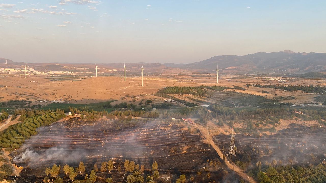İzmir'in Aliağa ilçesinde çıkan orman yangını kontrol altına alındı