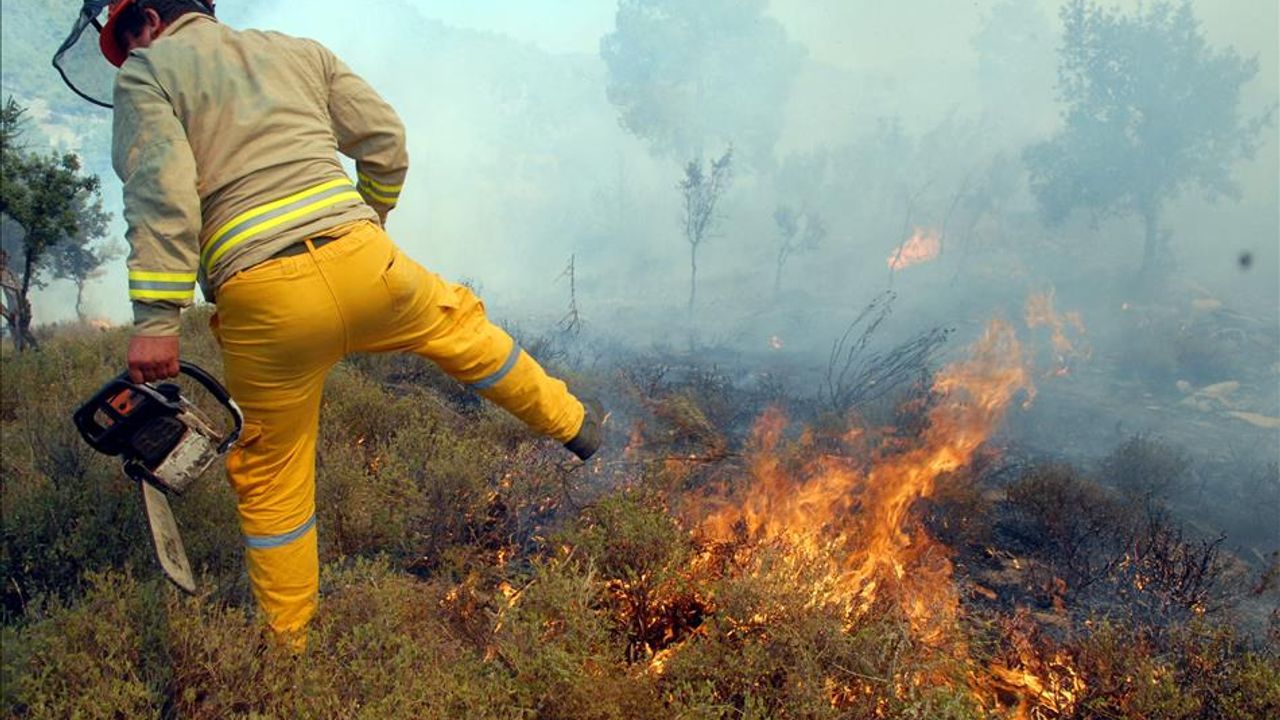 Çıkan orman yangınına müdahale ediliyor