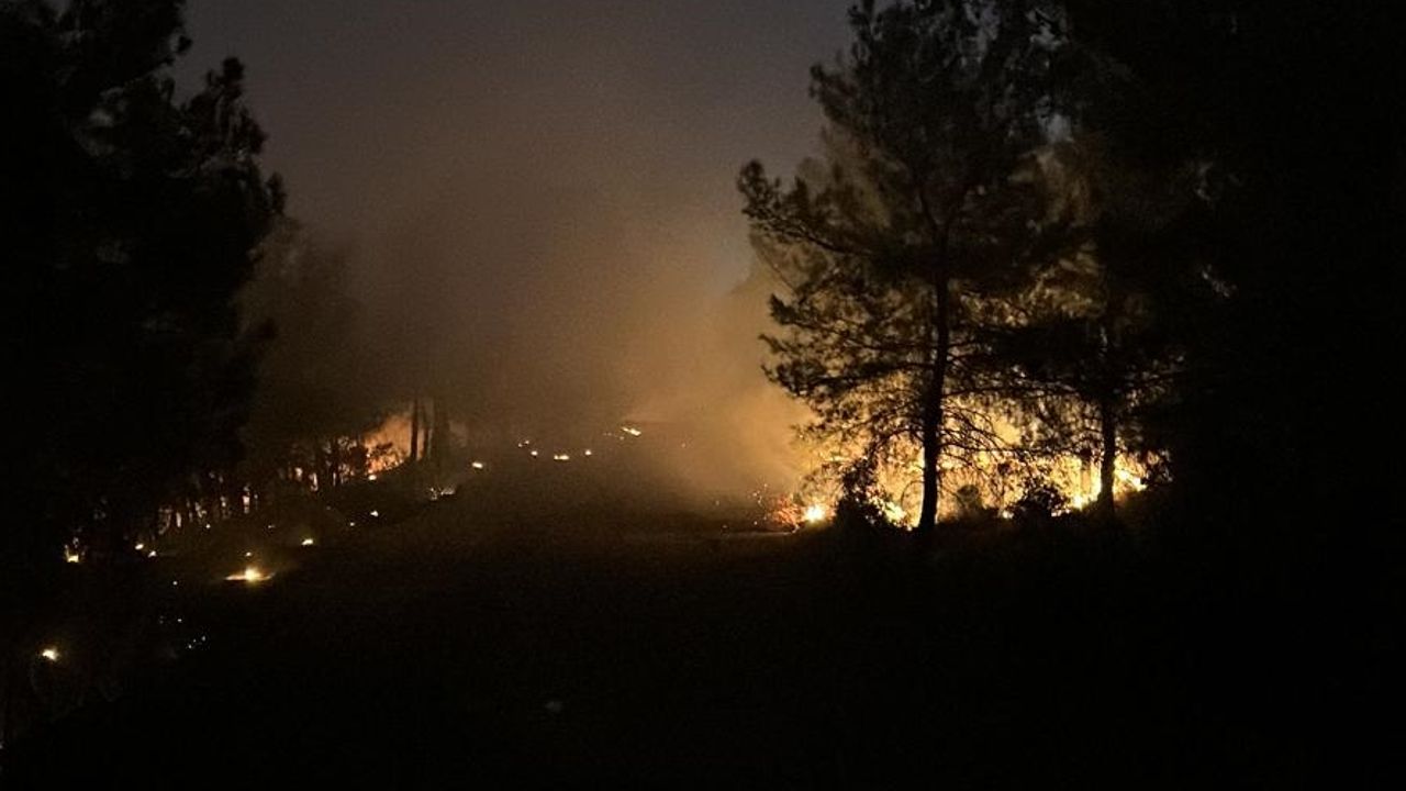 İzmir'de çıkan orman yangına müdahale devam ediyor