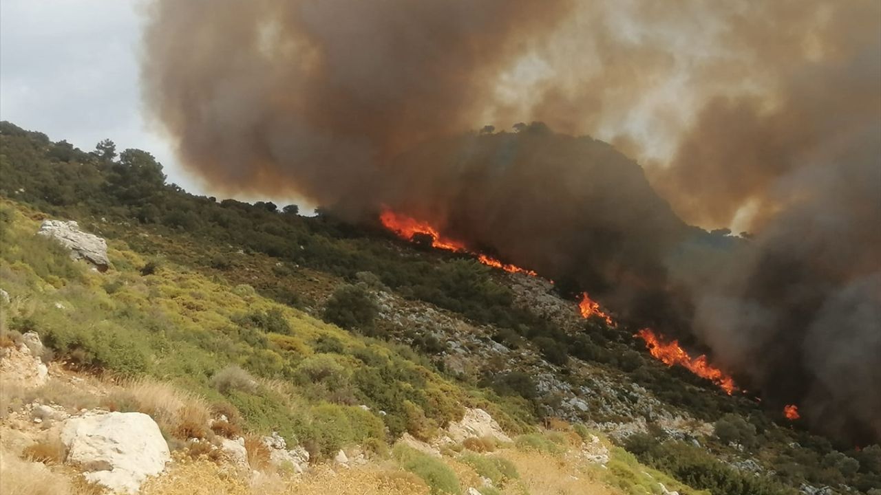 Makilik ve tarımsal alanda yangın çıktı