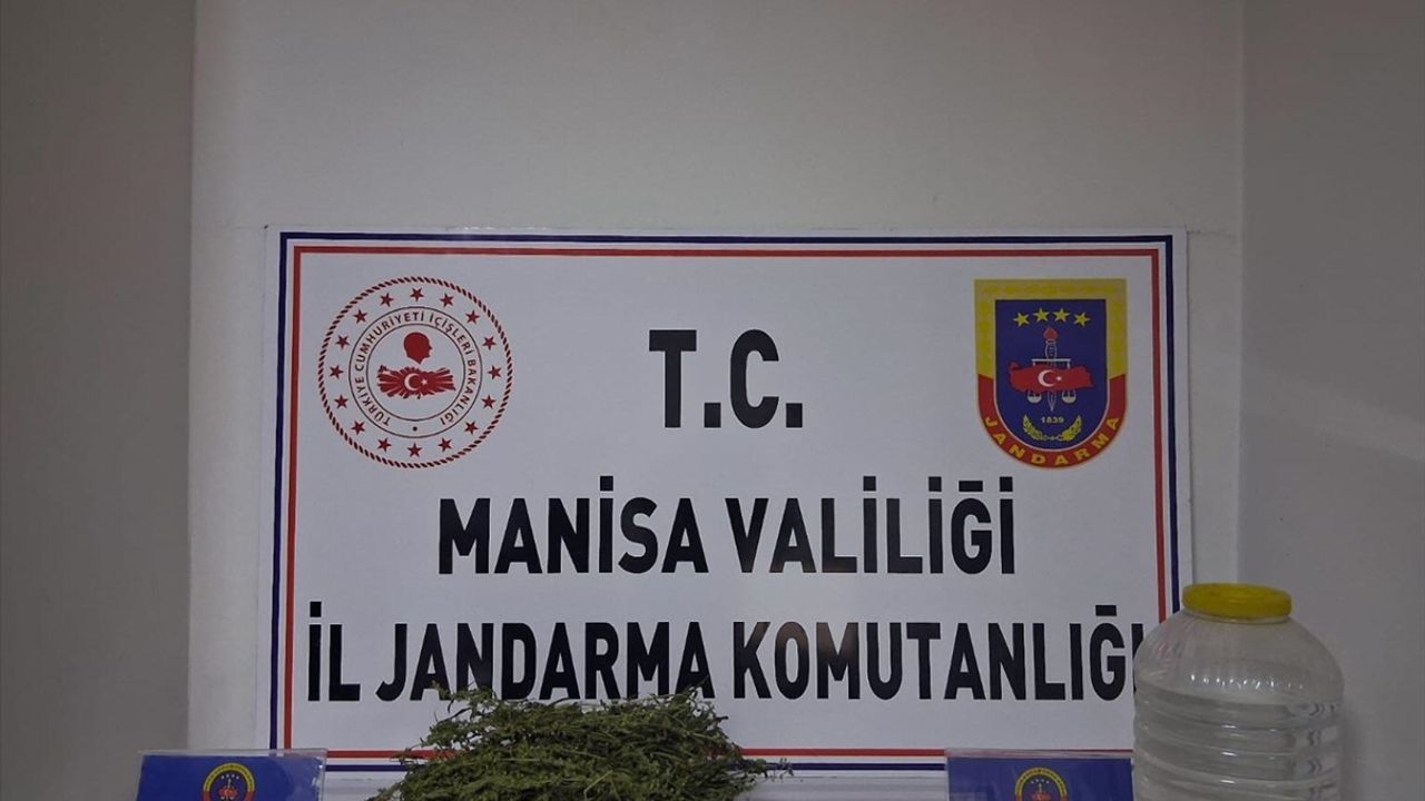 Salihli'de yasaklı madde ve alkol operasyonu, 1 gözaltı!