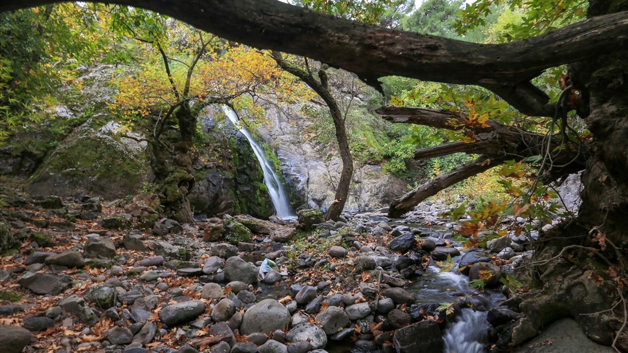 Yunt Dağı'nda sonbahar güzelliği
