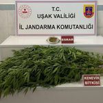 Uşak'ta Jandarmanın kaçakçılık operasyonu neticesinde 2 kişi gözaltına alındı