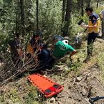 Kütahya'nın Domaniç ilçesinde kaza yapan traktörün sürücüsü yaralandı