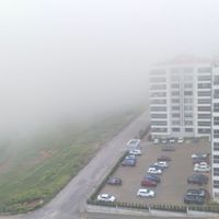 Yaşam
