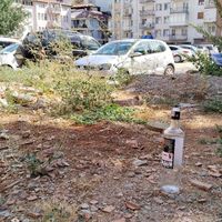 Eğitim