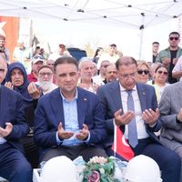 Siyaset