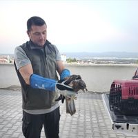 Yaşam