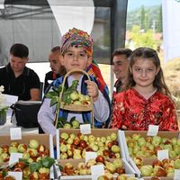 Yaşam