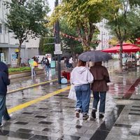 Yaşam