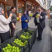Yaşam