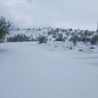 Yaşam