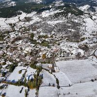 Yaşam
