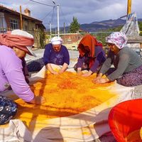 Yaşam