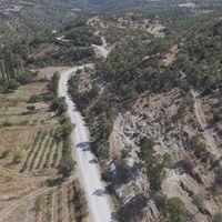 Yaşam