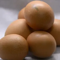 Ekonomi