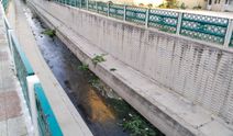 Dokuzsele'nin kiri ve kokusu vatandaşı rahatsız ediyor