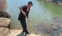 Uşak Göğem Göleti'ndeki olayın sebebi araştırılıyor
