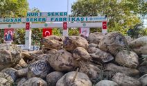Nuri Şeker Uşak Şeker Fabrikası'nda yeni kampanya dönemi başladı