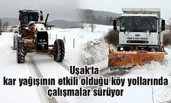 Uşak'ta kar yağışının etkili olduğu köy yollarında çalışmalar sürüyor