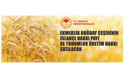 Antalya Batı Akdeniz Tarımsal Araştırma Enstitüsü Müdürlüğünden Buğday Satış İhalesi