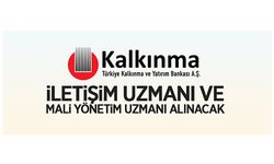 Türkiye Kalkınma ve Yatırım Bankasından Bireysel Danışman alım ilanı