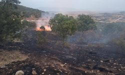 Uşak'ın Karahallı ilçesinde 4 farklı bölgede çıkan yangınlar söndürüldü