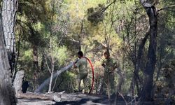 Uşak'ta 2,5 hektarlık orman alanının zarar gördüğü yangın kontrol altına alındı