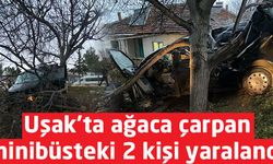 Uşak'ta ağaca çarpan minibüsteki 2 kişi yaralandı
