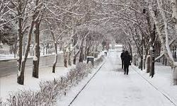 İç Ege'de Kar Yağışı ve Zirai Don Tehlikesi Uyarısı