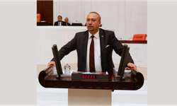 CHP'li Yalım, ÖTV'siz ve Düşük KDV'li Araç Almaya 45 Gün Kaldığını Belirtti