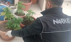 İzmir ve Muğla'da Eş Zamanlı Uyuşturucu Operasyonu; 31 Şüpheli Yakalandı