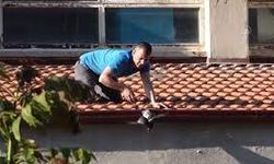 İzmir'de Çatıya Sıkışan Güvercin Kurtarıldı
