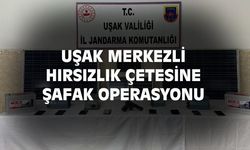 Uşak'ta hırsızlık çetesine operasyon