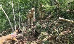 Amanos Dağları'nda Terör Örgütü PKK'ya Ait Depo Bulundu
