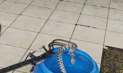 Otomobilin kaportasına giren yılan yakalanarak doğaya salındı
