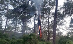 3 haftada yıldırım kaynaklı 28 orman yangını çıktı