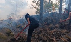 Çıkan yangında 5 dönüm ormanlık alan zarar gördü