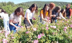 Gül tarlalarında foto safari