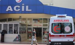 Denizli'de kurban keserken yaralanan 130 kişi hastaneye başvurdu