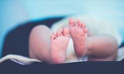 Türkiye'de her yıl 250 civarı bebek beyin hasarına yol açabilen genetik "PKU" ile doğuyor