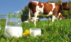35 ildeki 11 bin üreticiye "Uygulamalı Süt Hijyeni Eğitimi" verildi
