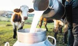 Süt üreticileri regülasyondan memnun, yem fiyatlarında düzenleme bekliyor