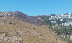 Bodrum'da otluk alanda çıkan yangın söndürüldü