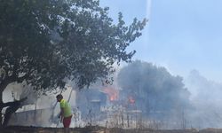 Bodrum'da makilik ve otluk alanda yangın çıktı