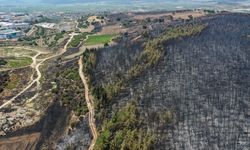 Menderes'teki yanan bölge havadan görüntülendi