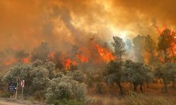 Muğla'da ormanlık alanda çıkan yangına müdahale ediliyor